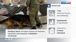 Телеканал «Россия 1», программа «Вести. Москва», 17.02.2026