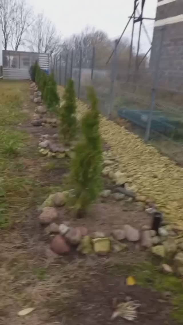 Питер, красивые виды. Видовой участок, продажа участка с домом.