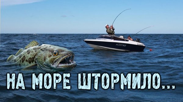 Ловля трески в Балтийском море - мыс Таран | штормит