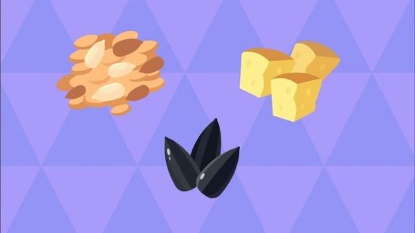 Полезная кормушка для птиц