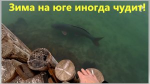 Зима на юге иногда чудит. Ейск.