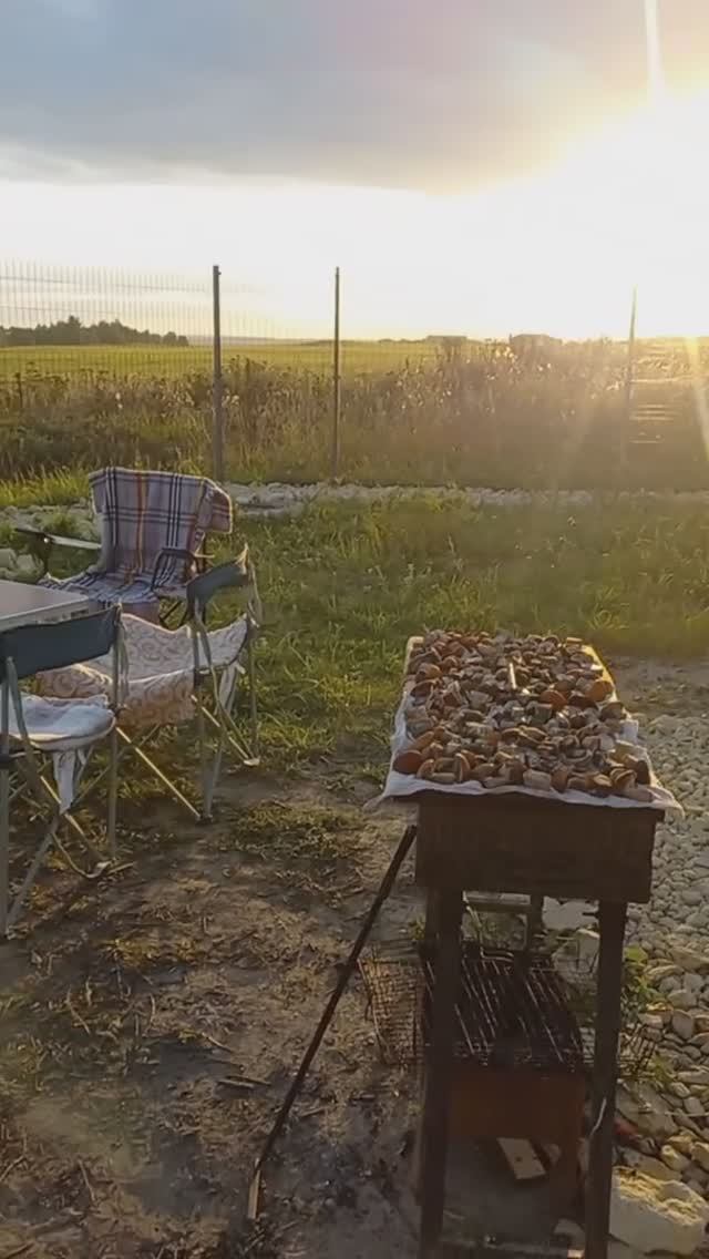 Питер, красивые виды. Видовой участок, продажа участка с домом.