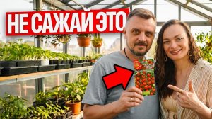Из-за ЭТОЙ ошибки вы потеряете ВСЕ ТОМАТЫ!