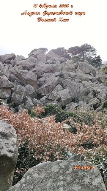 15 февраля 2026 г. Алупка. Воронцовский парк. Большой Хаос #ялта #ялта2026 #алупка #воронцовскийпарк