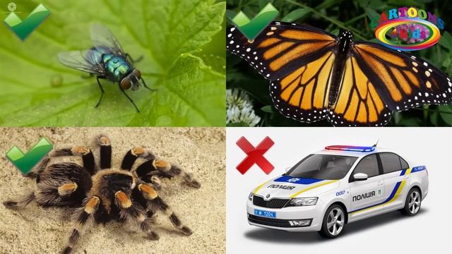 Тесты для детей. Что лишнее? Развивающее видео про транспорт