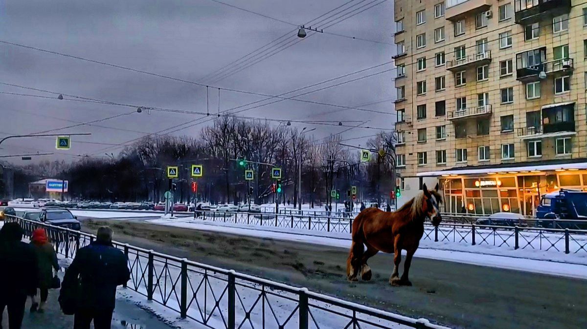 Понедельник 8:55 смотреть онлайн