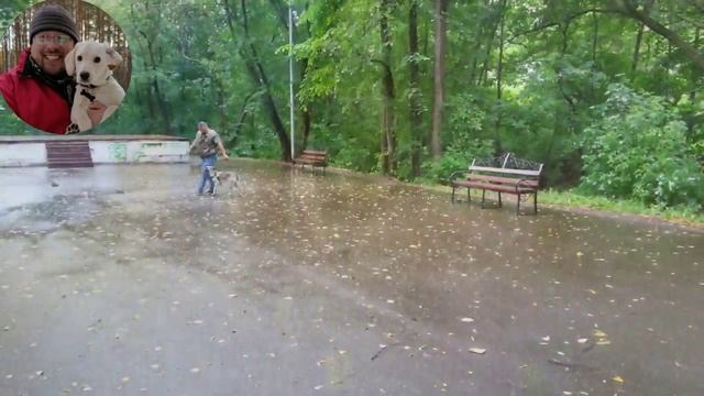 Игорь Алтайский персональное обучение собаки