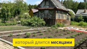 СЕКРЕТ СОВЕТСКИХ ОВОЩЕБАЗ! КАРТОШКА ПРОЛЕЖИТ ДО ВЕСНЫ И НЕ ПРОРАСТЕТ