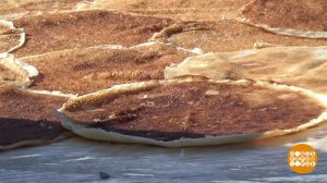 Масленичные рекорды. Доброе утро. Фрагмент выпуска от 17.02.2026