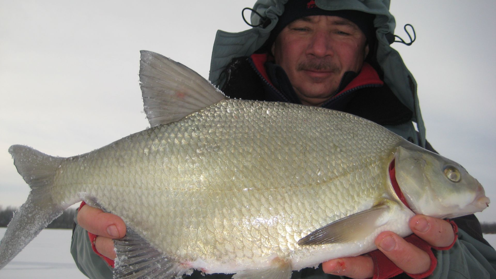 Ловля крупного леща на тяжёлую мормышку на реке. смотреть онлайн