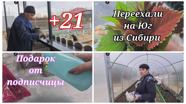 784ч🏡12-13.02.26- Мойка сломалась//Покрасил подоконник//Чистилка//Первая трава 🐔/Посеяла в теплицу