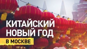 Панды, красные лошади и тысячи бумажных фонариков: Москва встречает китайский Новый год