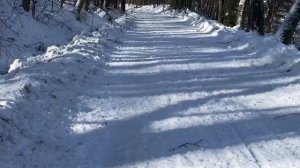 ЗИМНЯЯ КРАСОТА ДОРОГИ.