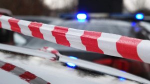 Мужчина и женщина выпали из окна многоэтажки в Новой Москве