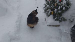 ✅️17.02.26г Погода шутит!❄️