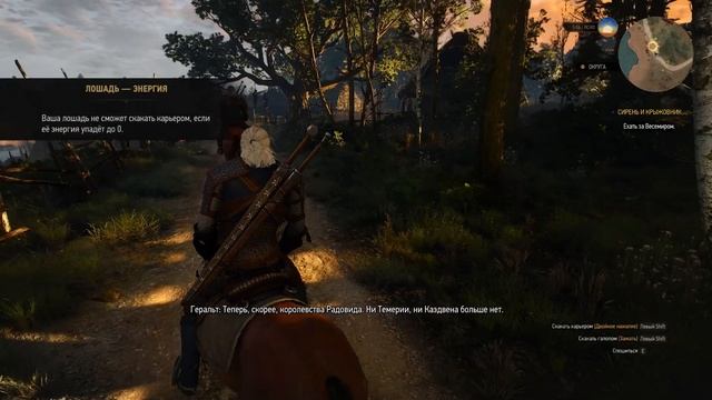 The Witcher 3 Серия 1