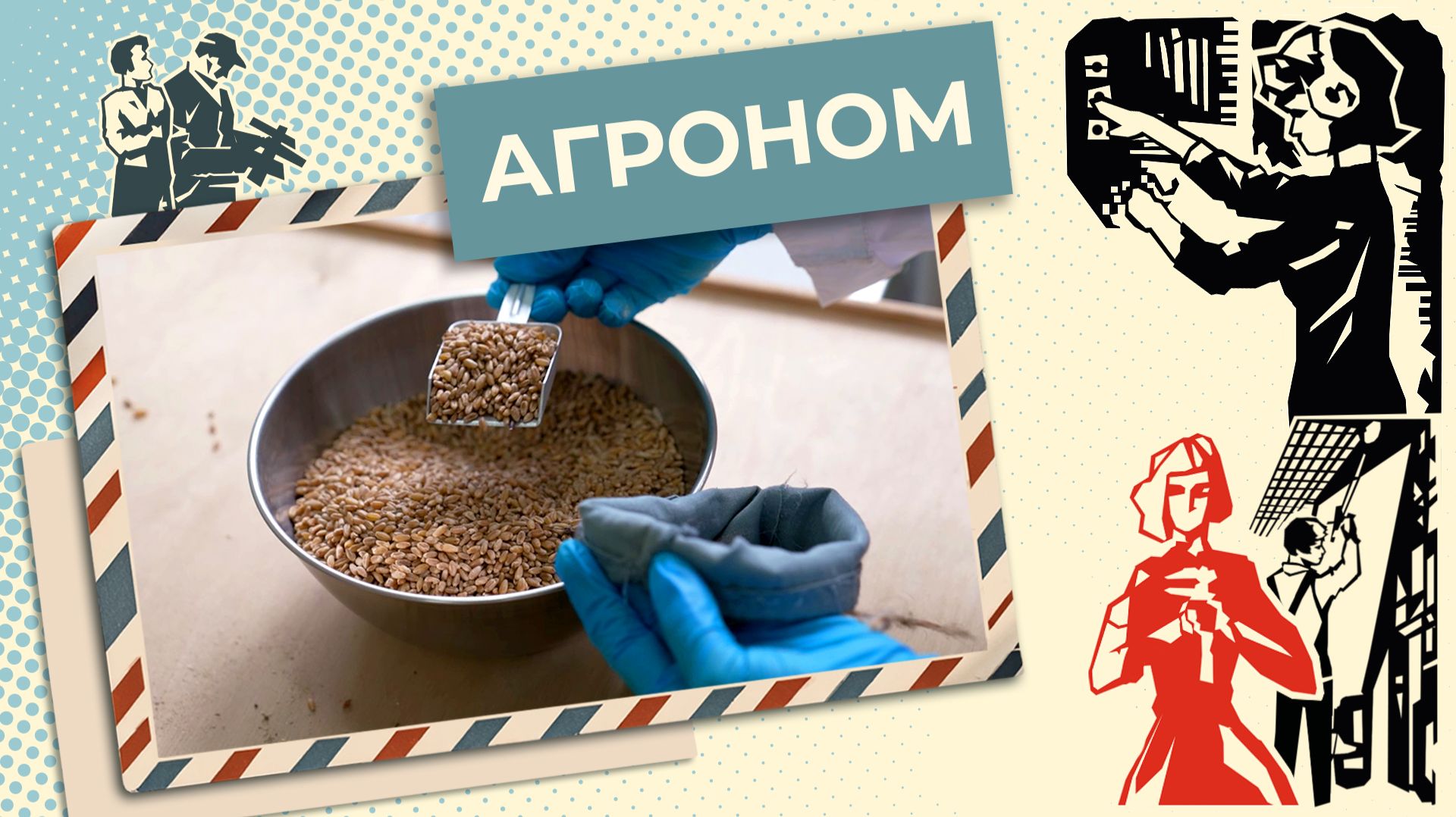 Кто в ответе за качество зерна? | Знай себе цену (2026) смотреть онлайн