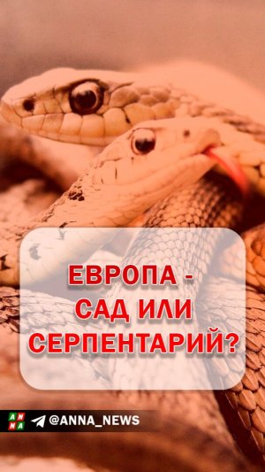 Европейский «сад» превратился в серпентарий