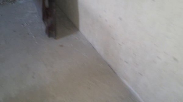 На зоне🕷🕸