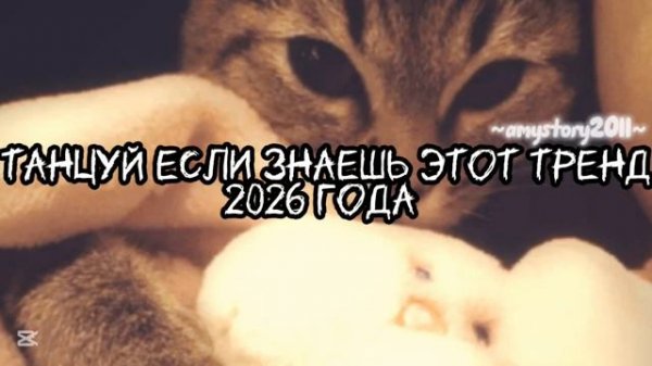 Танцуй если знаешь этот тренд 2026 года amystory2011 потрендам залетипж тренды врек дуэт 2026
