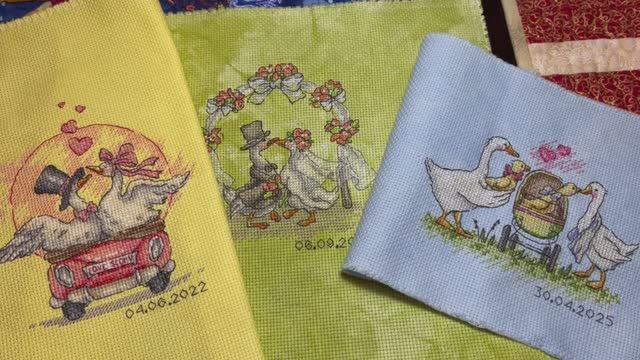 Финиш Свадебных Гусей. Продвижение СО с Ветерком