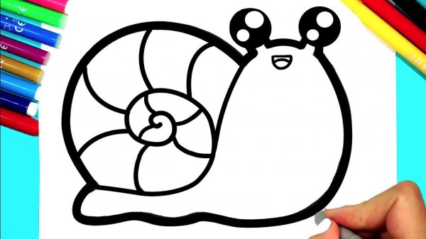 Как нарисовать улитку для детей. Простой рисунок улитки.