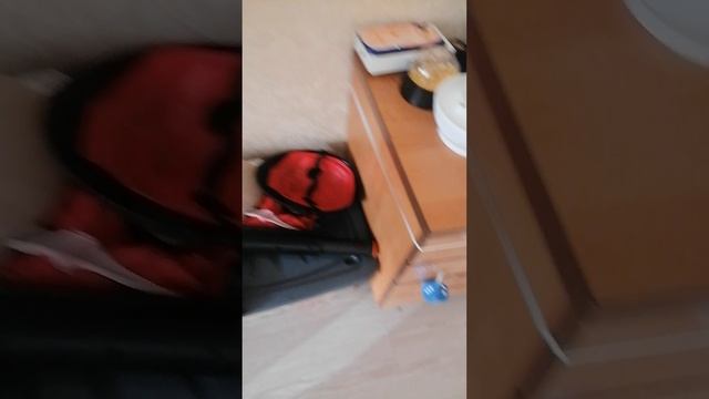 VID_20260217_102428.mp4 смотреть онлайн