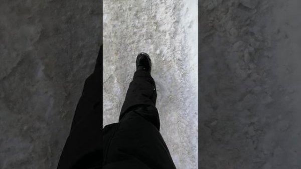 VID_20260217_125027.mp4