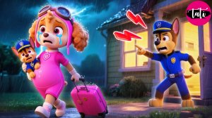 Щенячий патруль и Маршалл. Залипательное видео. Мультфильм для детей и малышей. Анимация 243