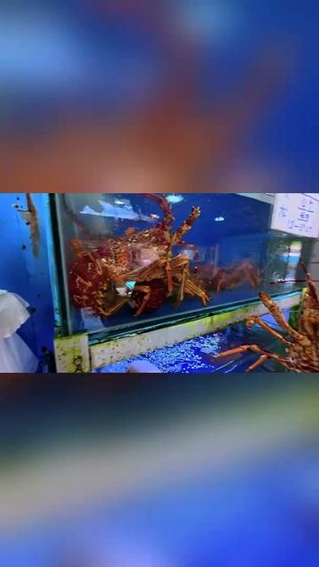 Огромный лобстер на рынке в Таиланде 🦞