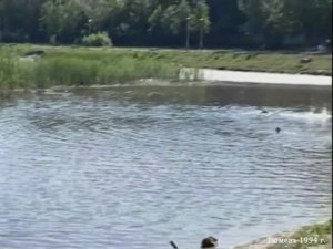 1994 год. Тюмень. Купание на Утином пруду.
