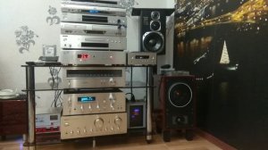 группа Нэнси . Стюардесса