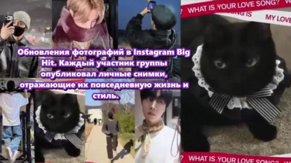 Шуга вместо привычного селфи или пейзажа поделился фотографией своего кота... /ОЗВУЧКА TANIY/...