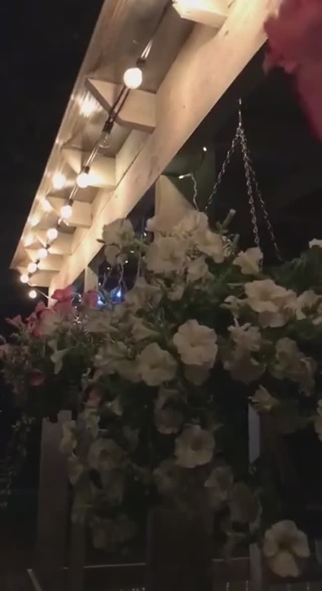 Питер, красивые виды. Видовой участок, продажа участка с домом.