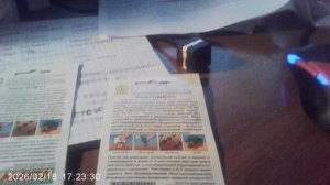 Обзор: приобрёл на маркетплейсе OZON семена томата "Санька"