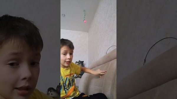 VID_20260218_160846.mp4