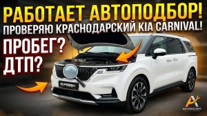 Карнивал заявлен как идеальный, но...