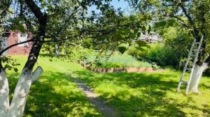 КУПИЛИ ЗАБРОШЕННУЮ ДАЧУ ПОД ВОССТАНОВЛЕНИЕ У ЛЕСА . СТРОИТЕЛЬСТВО И ОГОРОД . #2