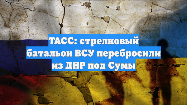 Украинский батальон накрыл авиаудар сразу после переброски под Сумы
