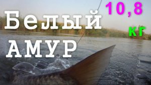 Рыбалка 2-2015