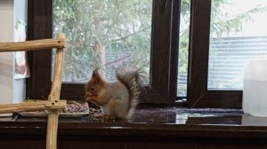 парнишку перепутали с девчулей