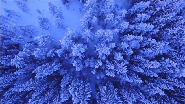 Весна принесёт переворот тем, у кого есть эти цифры в дате рождения. смотреть онлайн