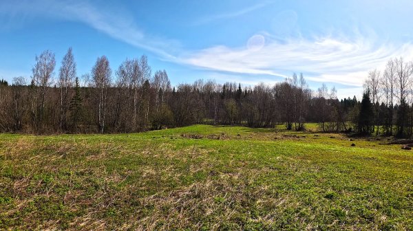 Майский коп на неизвестном урочище. №169