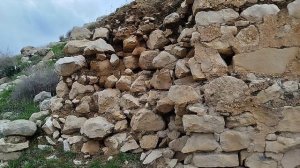 ЛАВРА СВ.ХАРИТОНА. Ущелье Харитона около Ткоа. Иудейская пустыня. Израиль. 19.01.2026.