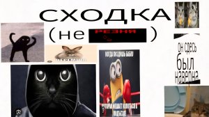 сходка в чг с друнами (подписонами)