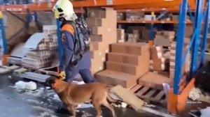 Спасатели работают на месте обрушения крыши склада в Зеленодольске