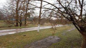 Дождина льёт 2 день! Гуляю и рассказываю! Юг России🌴