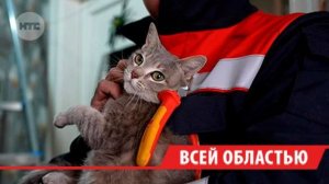 Коммуникации в 12 домах Бодайбо не получится отогреть до весны после аварии