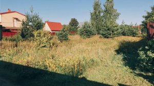 Косим триммерами бурьян в Бронницах Раменского района.