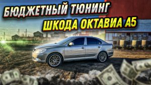 Бюджетный тюнинг Шкода А5 часть1. Детейлинг. ATIS Detailing.